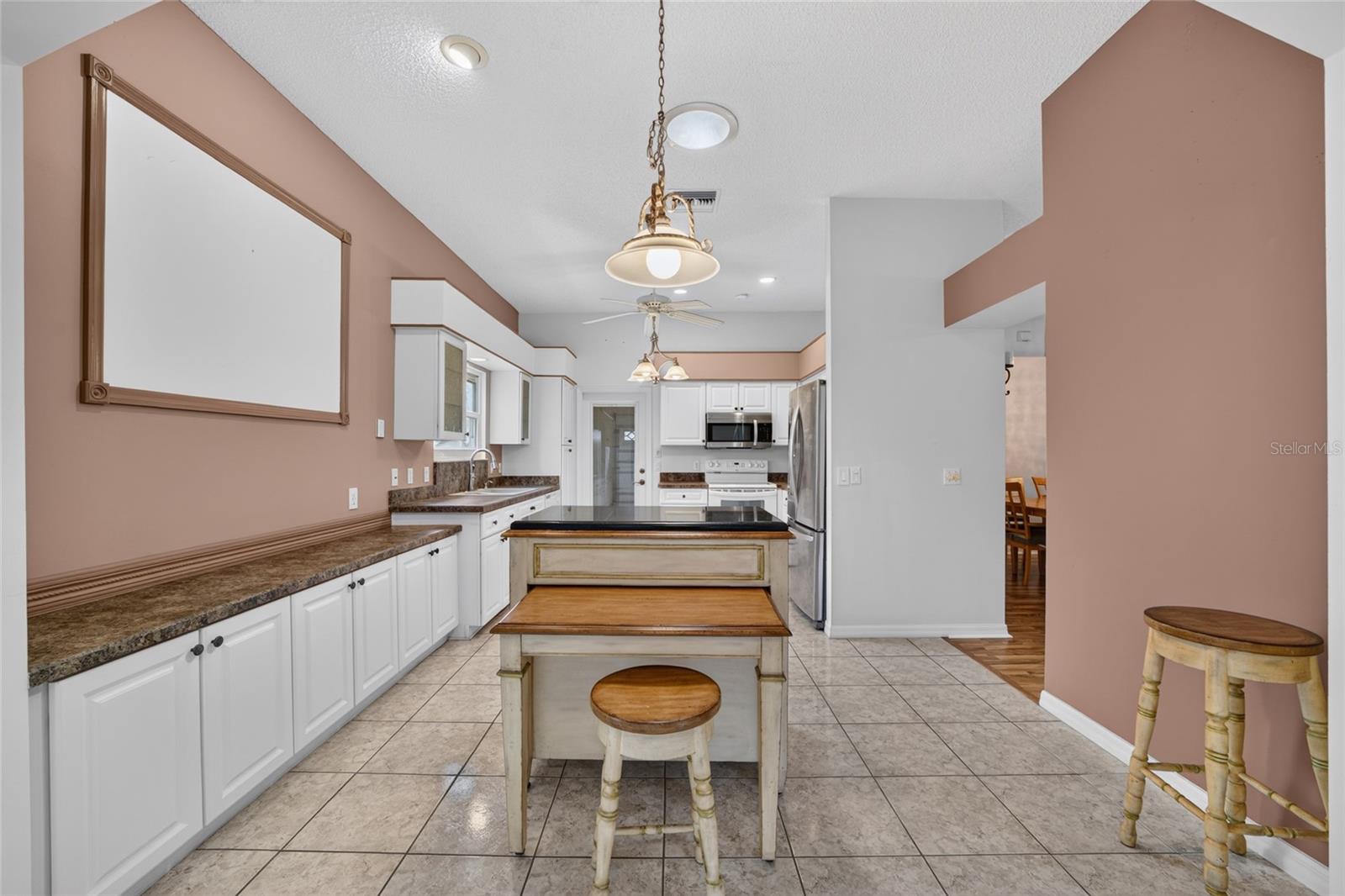 509 CHULA VISTA AVENUE, The Villages, FL 32159