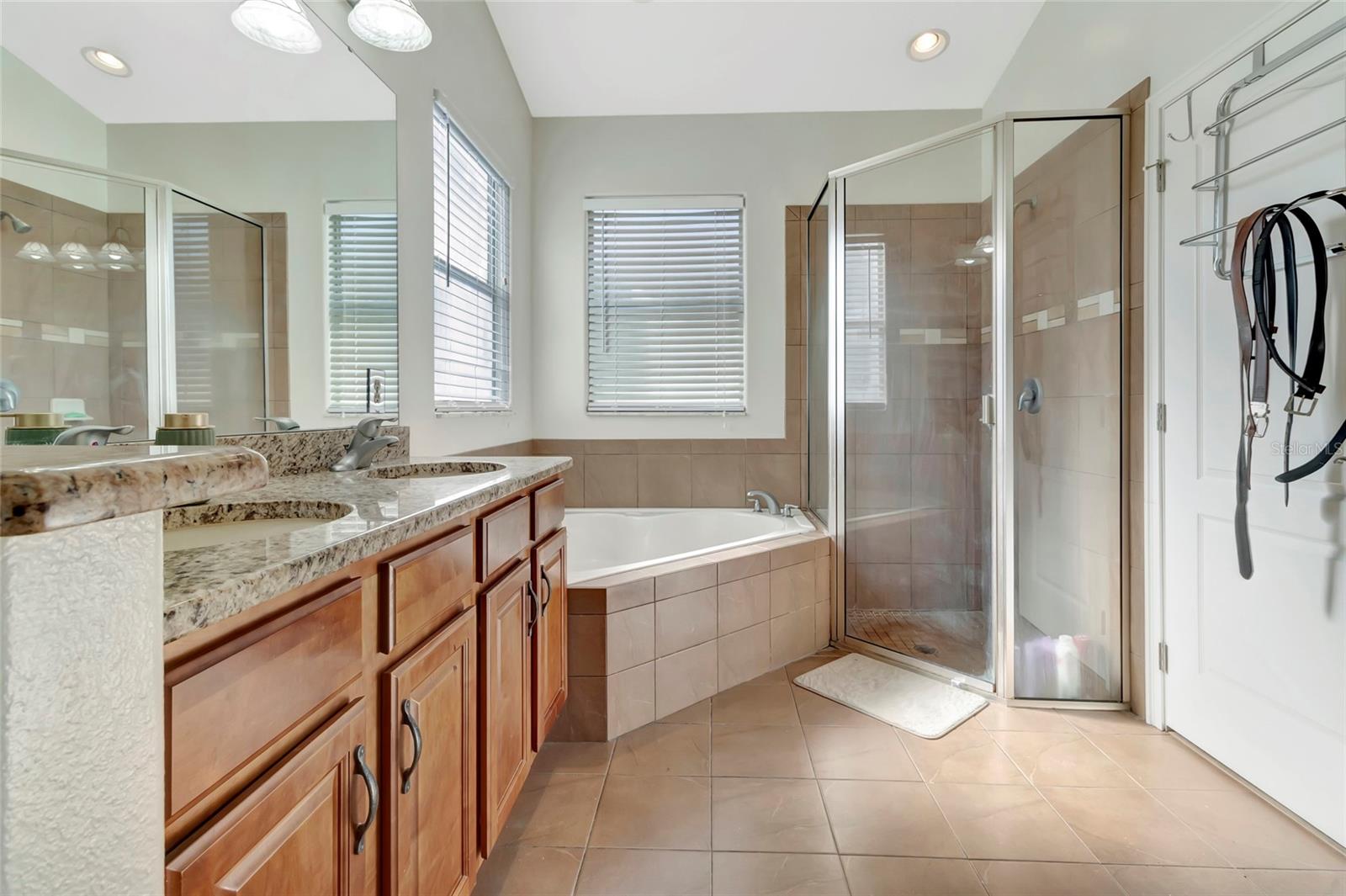 Garden tub and walk in shower