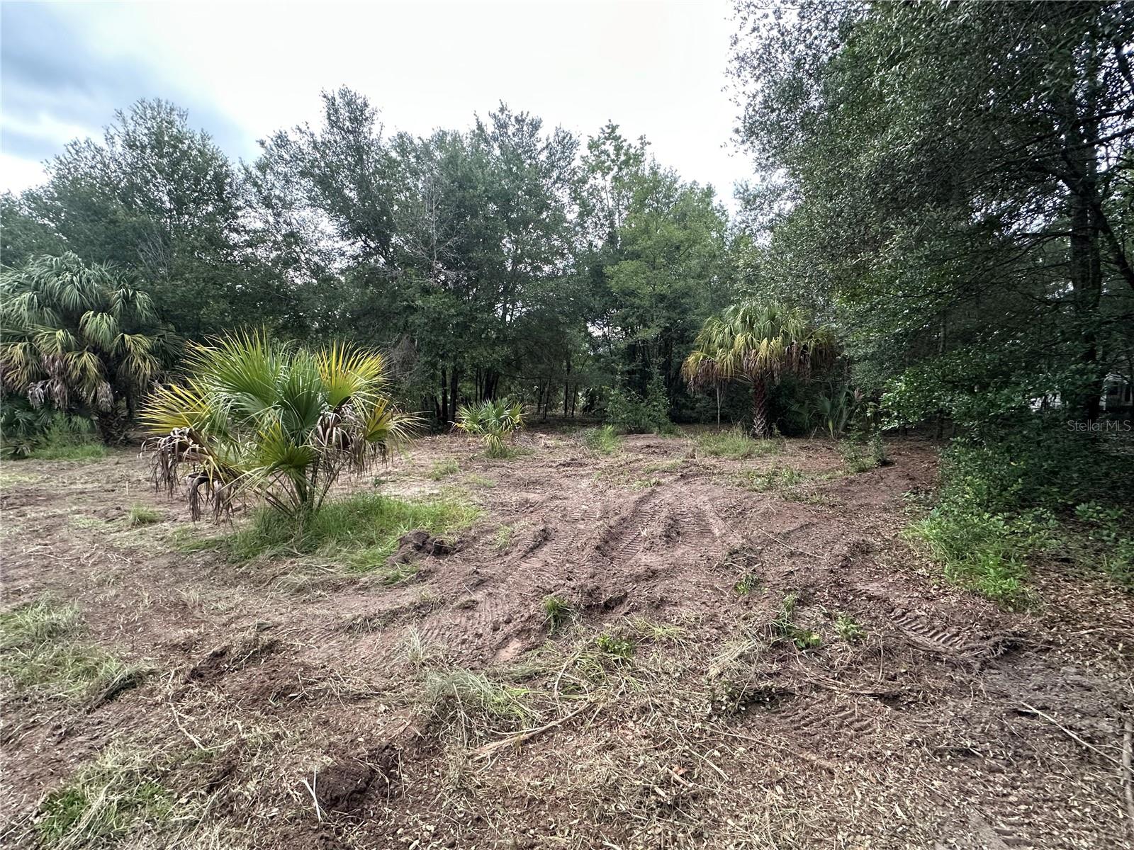 11356 N YOUNG DRIVE, Dunnellon, FL 34433 11356 N YOUNG DRIVE, Dunnellon, FL 34433