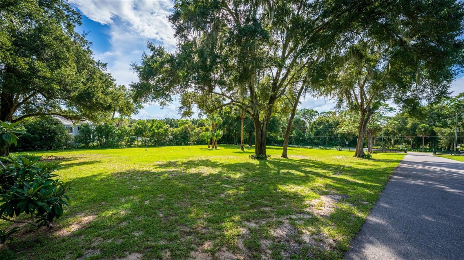 TBD CLAYTON STREET, Mount Dora, FL 32757