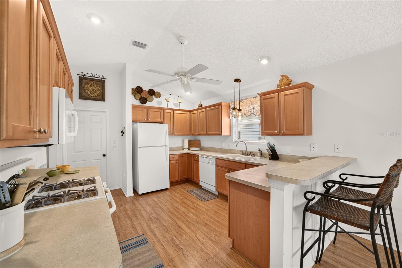 1743 OCONEE PLACE, The Villages, FL 32162