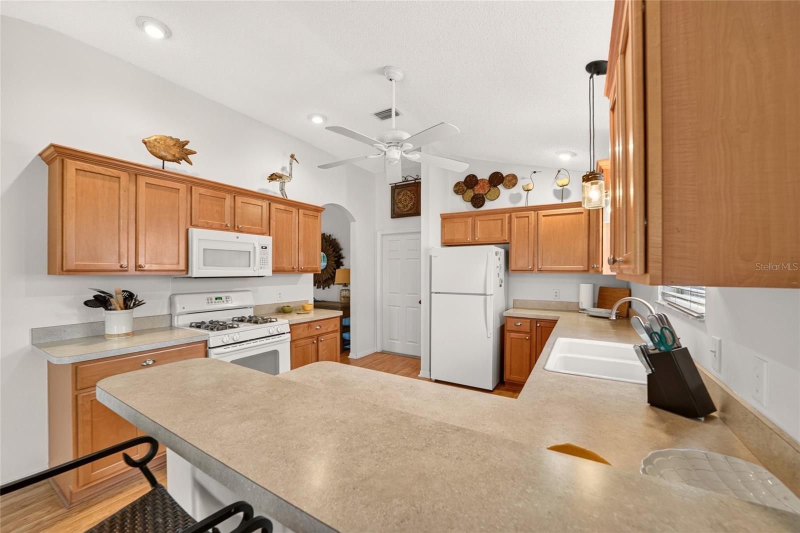 1743 OCONEE PLACE, The Villages, FL 32162