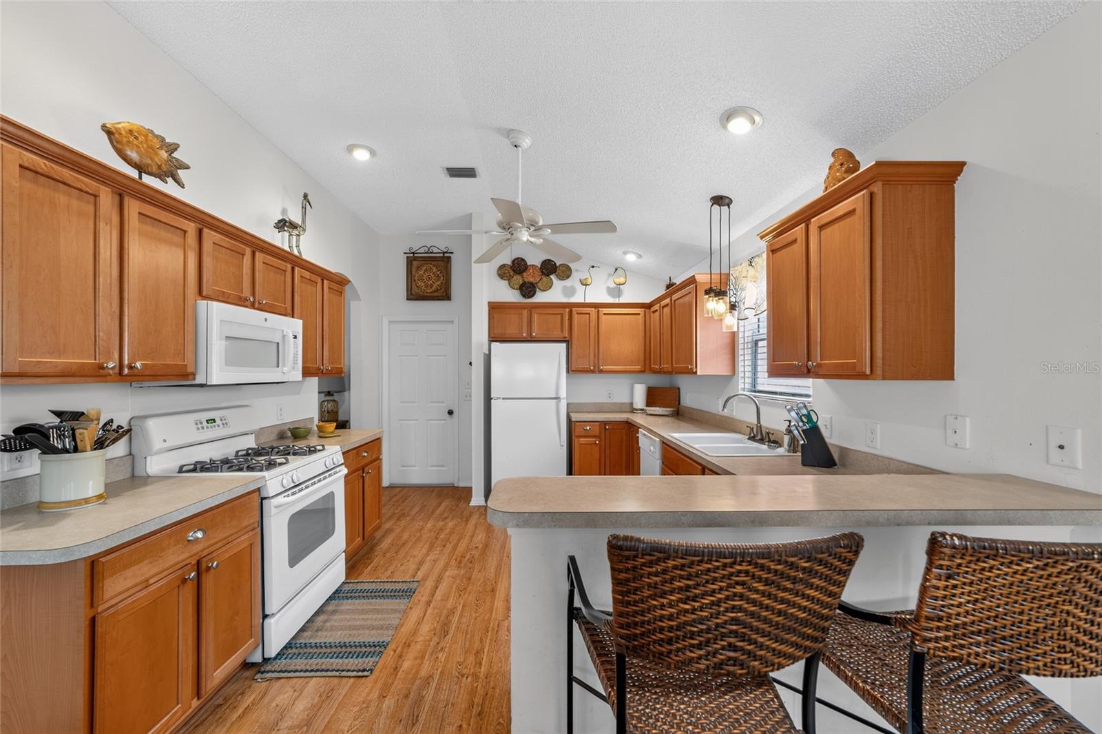 1743 OCONEE PLACE, The Villages, FL 32162