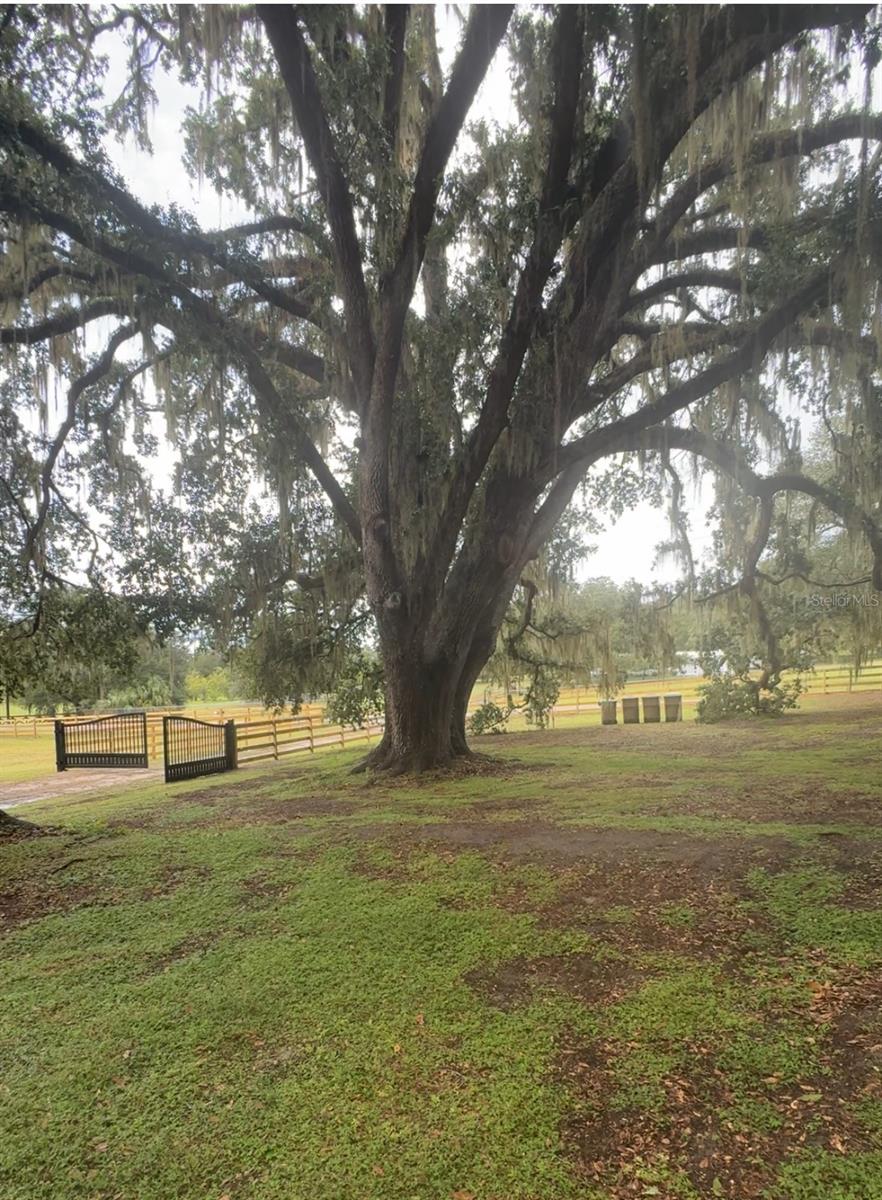 2930 GRIFFIN AVENUE, Lady Lake, FL 32159