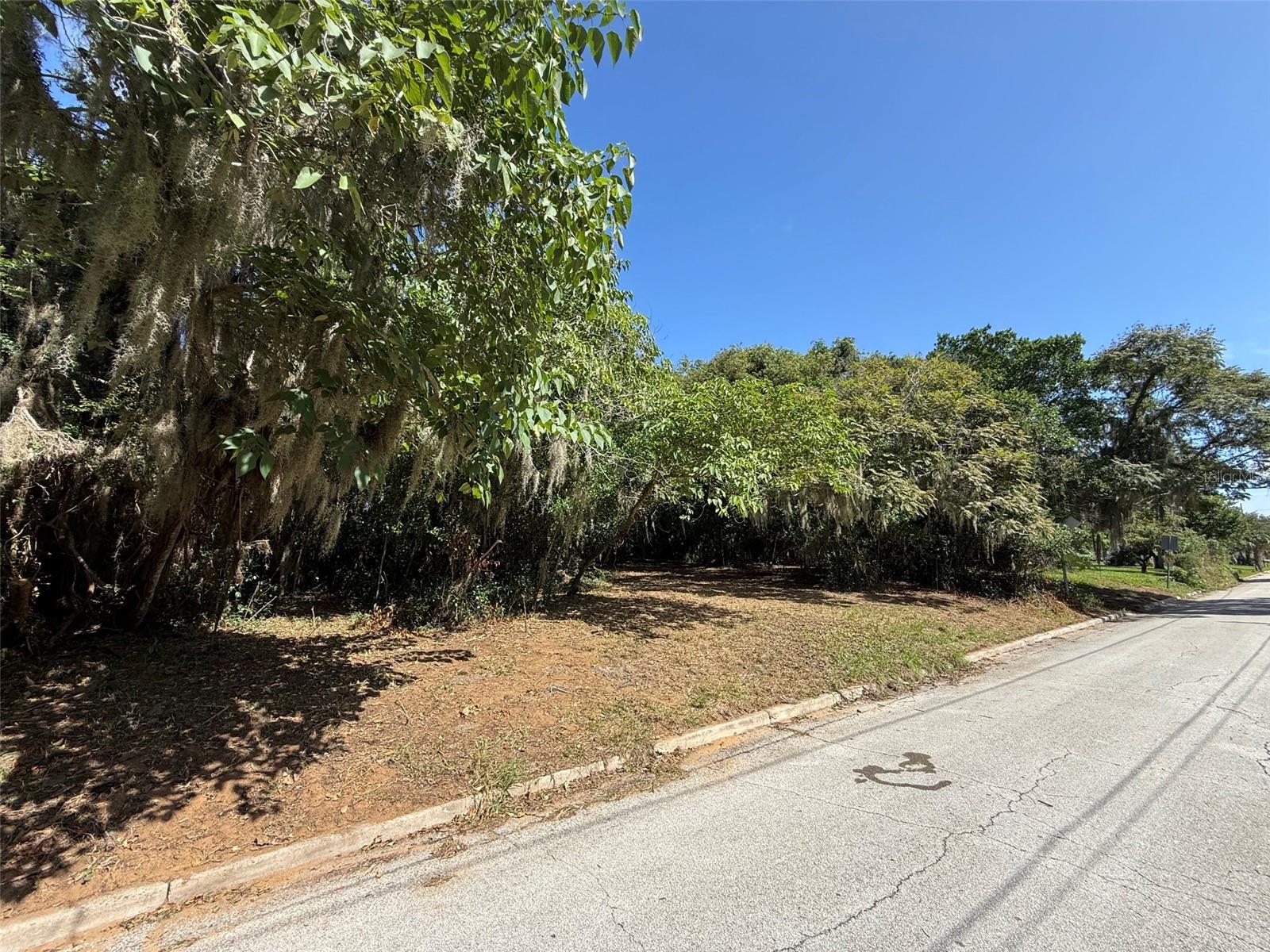 MORNINGSIDE DRIVE, Eustis, FL 32726