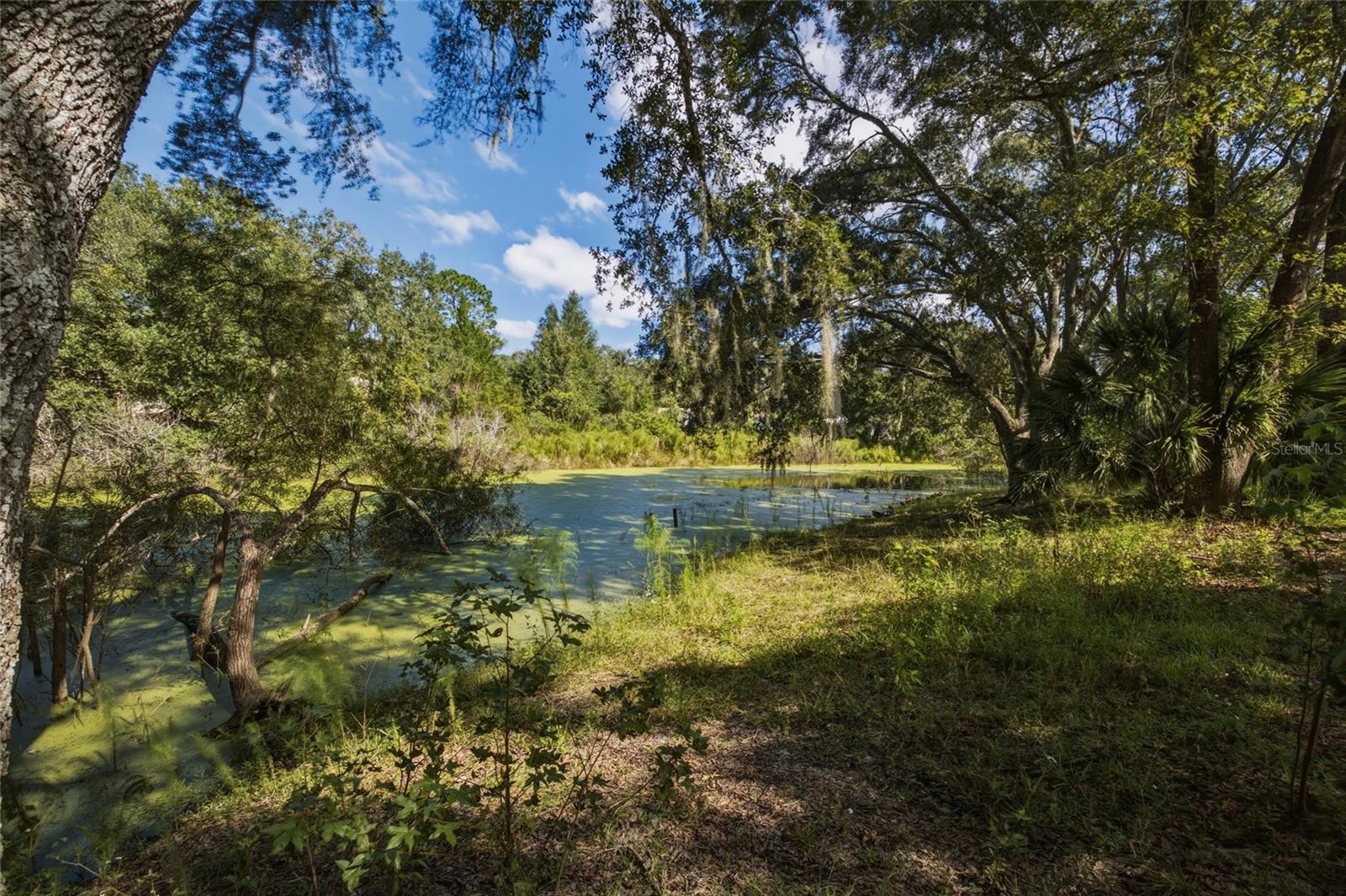 4854 SW 123RD ROAD, Webster, FL 33597 4854 SW 123RD ROAD, Webster, FL 33597