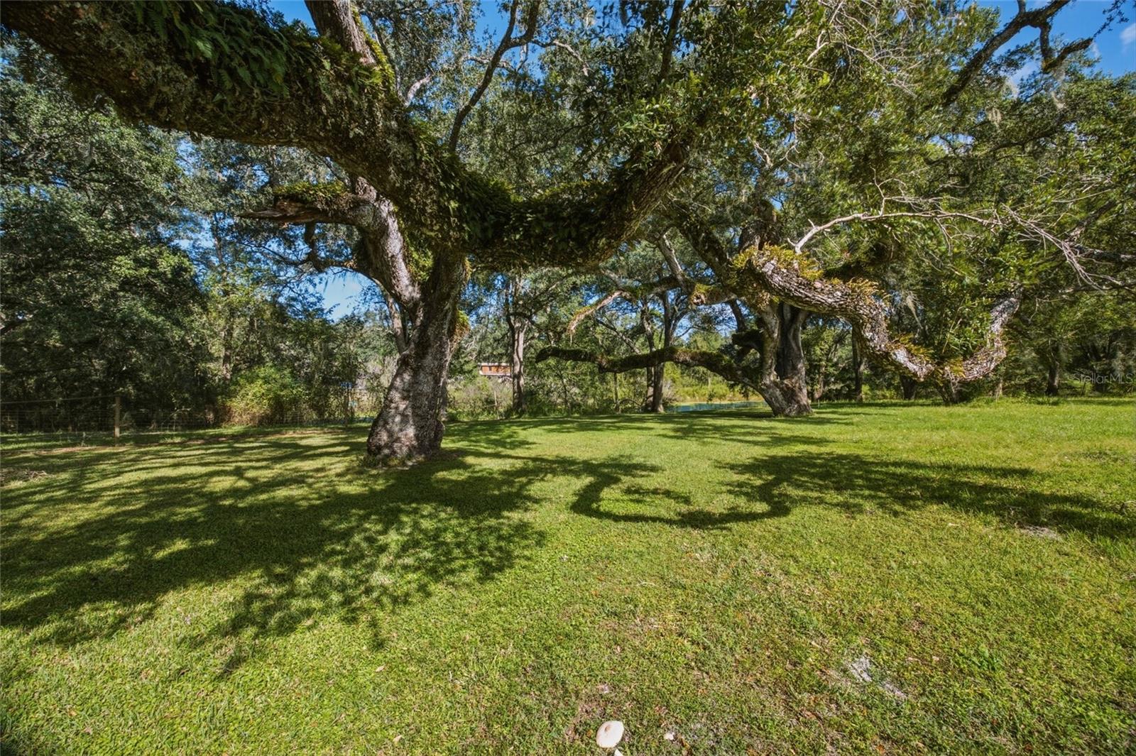 4854 SW 123RD ROAD, Webster, FL 33597 4854 SW 123RD ROAD, Webster, FL 33597