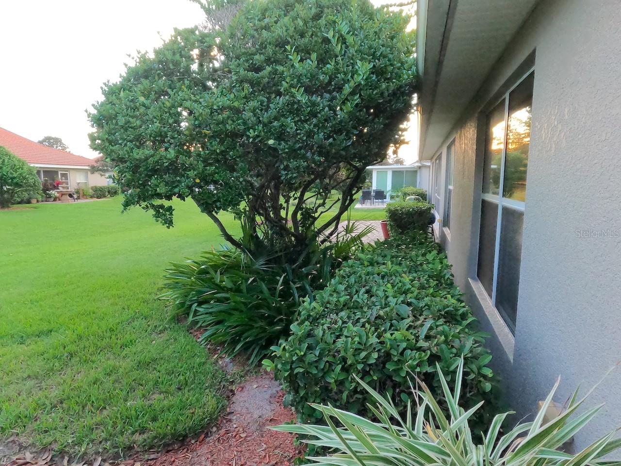 side view