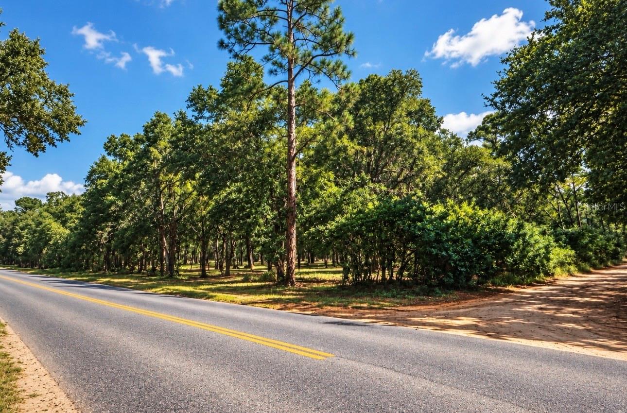 Road frontage