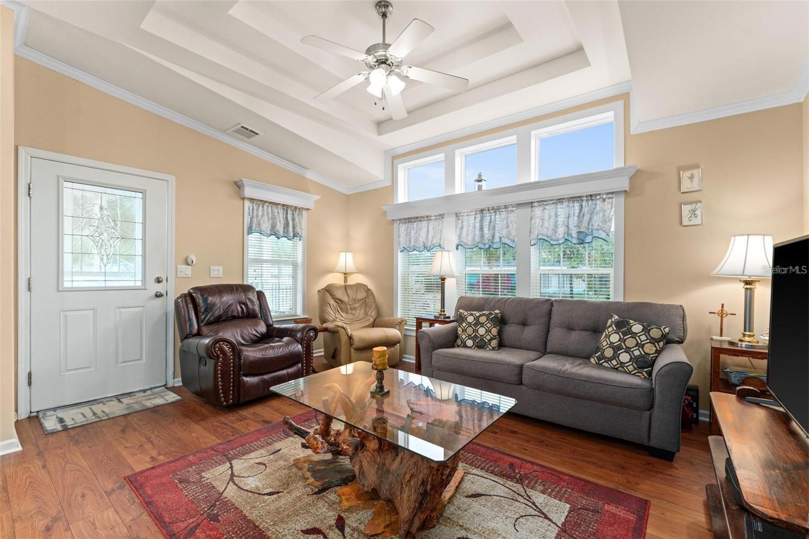 Living room with tray ceilings