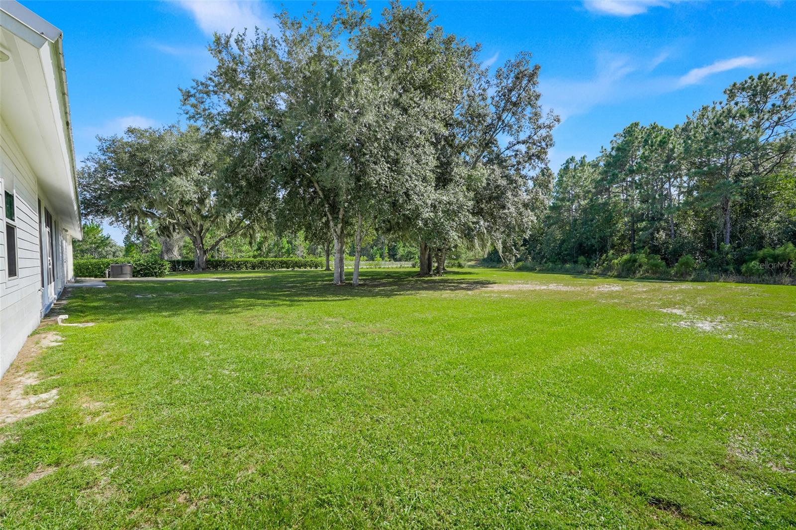 6100 OCILLA LOOP, Clermont, FL 34714