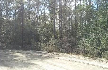 TBD SE 213TH TERRACE NE, Umatilla, FL 32784 TBD SE 213TH TERRACE NE, Umatilla, FL 32784