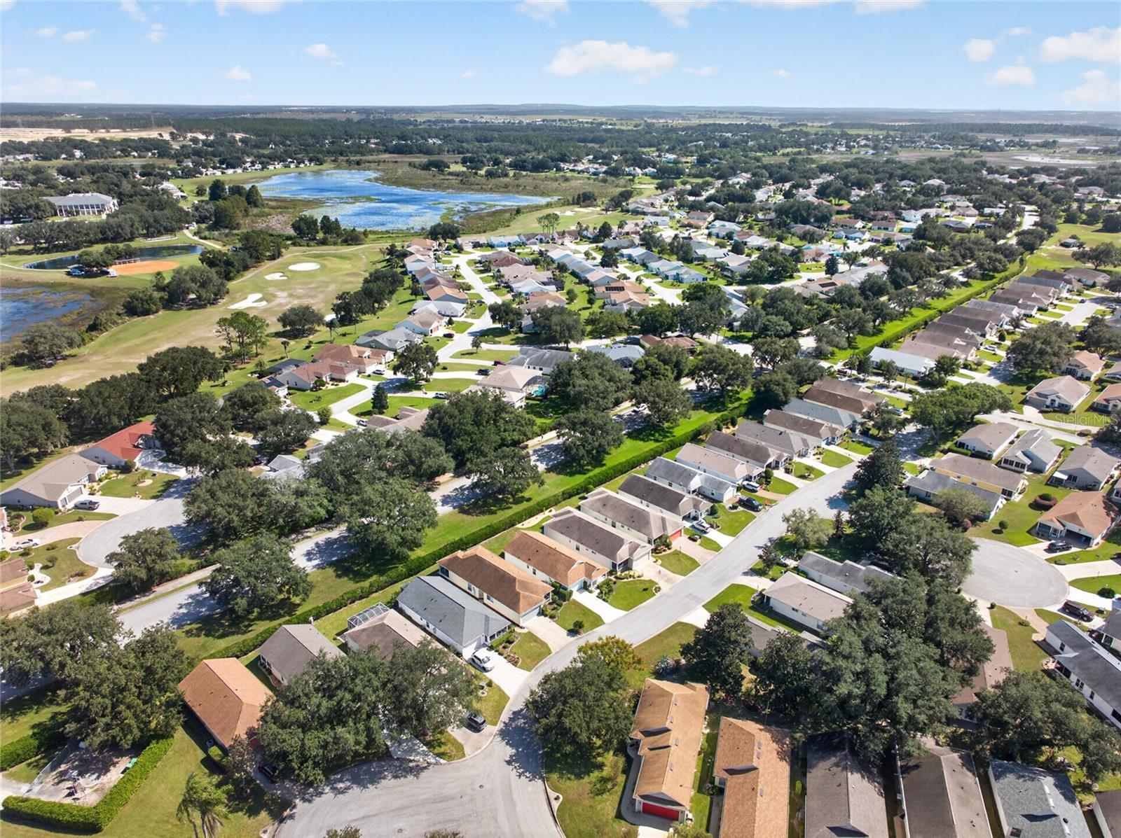 25247 CRANES ROOST CIRCLE, Leesburg, FL 34748