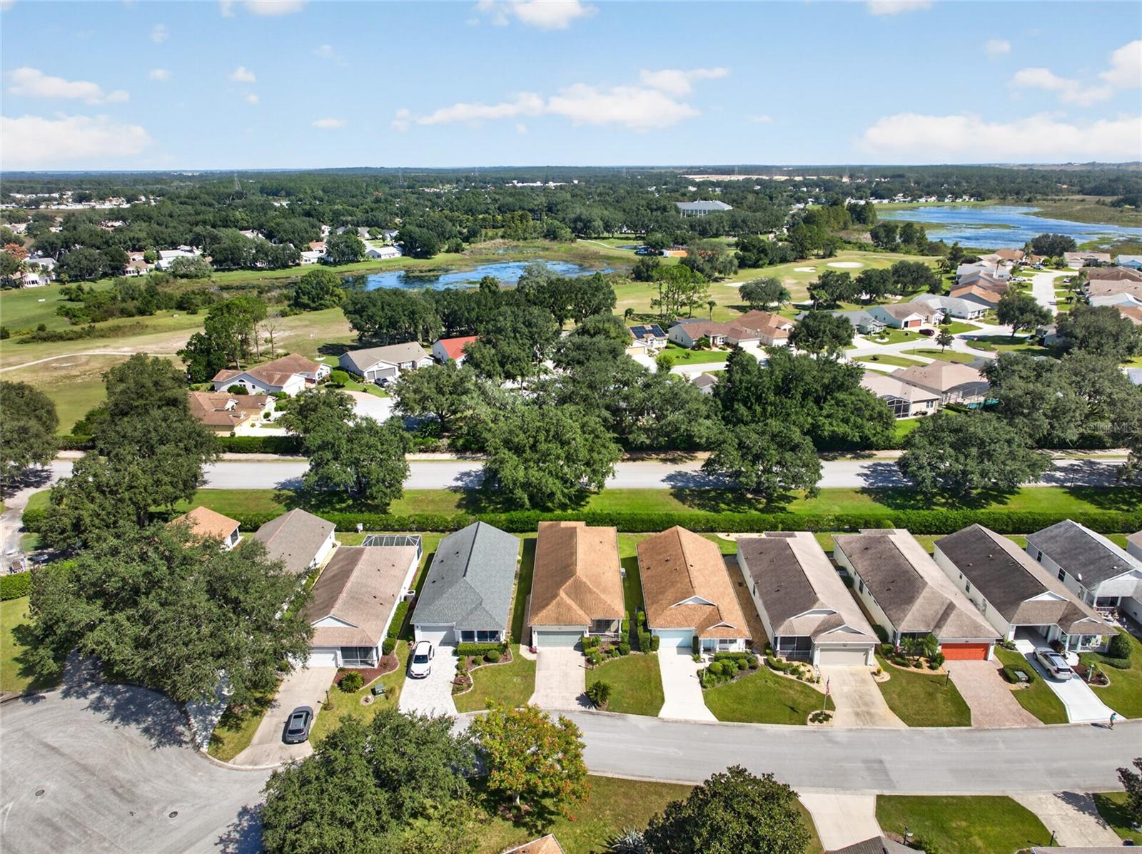 25247 CRANES ROOST CIRCLE, Leesburg, FL 34748
