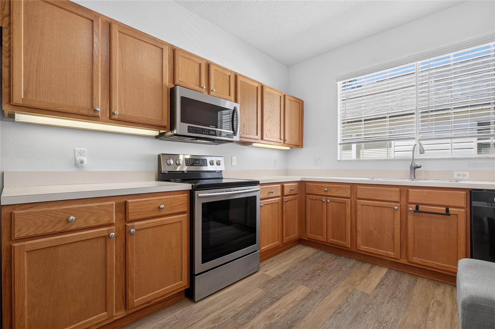 25247 CRANES ROOST CIRCLE, Leesburg, FL 34748