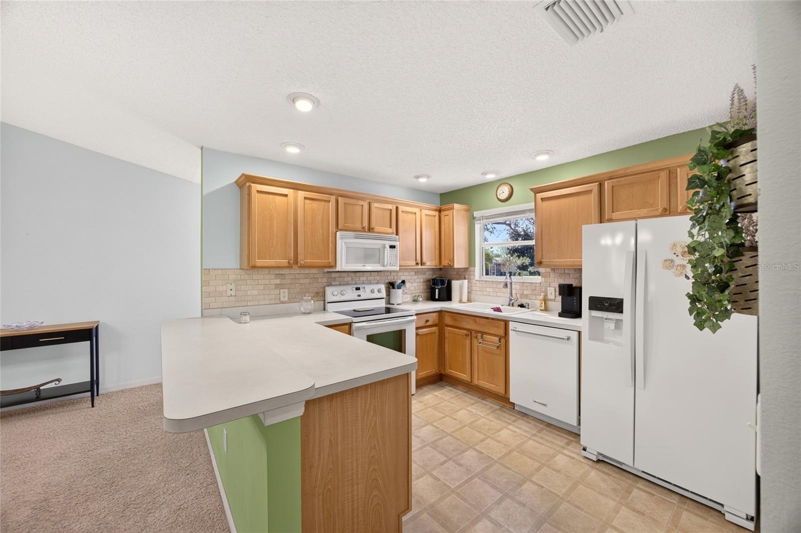 3401 NEW HOPE PLACE, The Villages, FL 32162