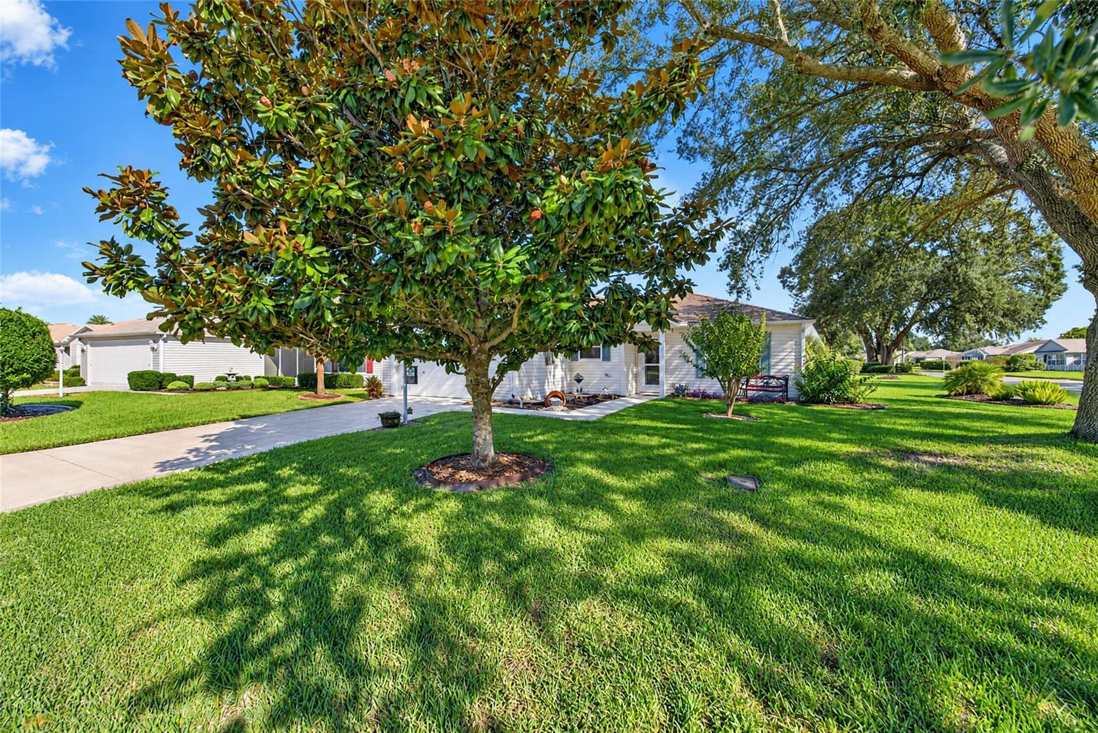 3401 NEW HOPE PLACE, The Villages, FL 32162