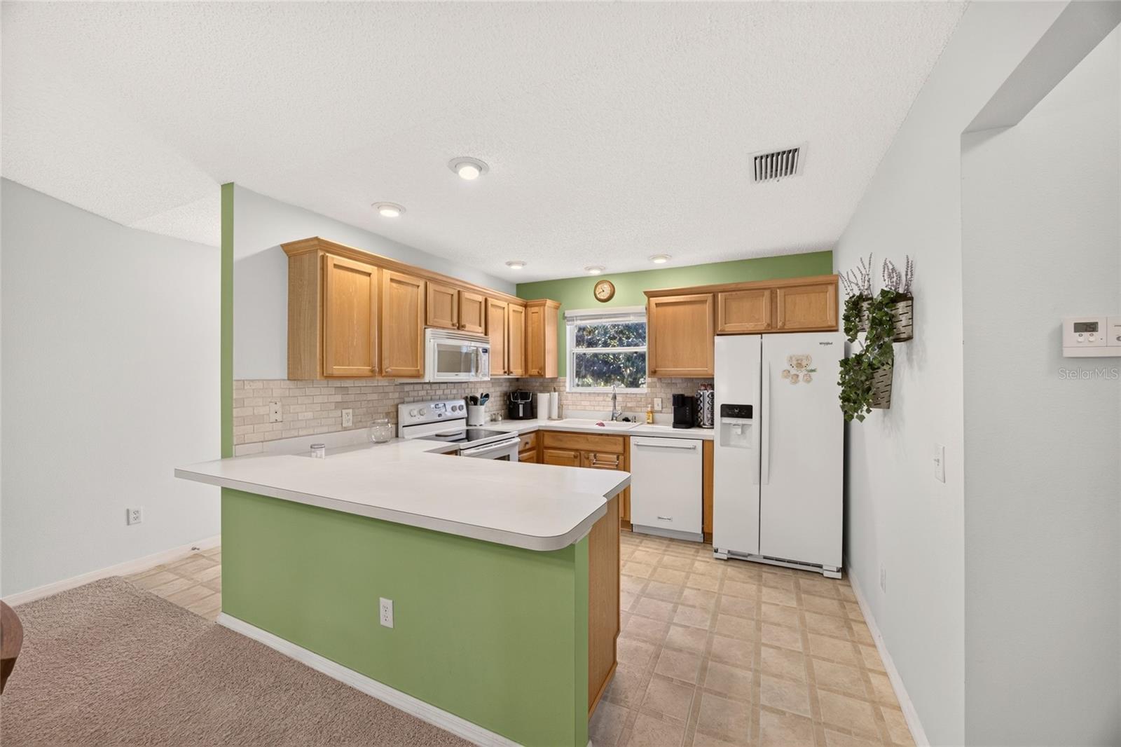 3401 NEW HOPE PLACE, The Villages, FL 32162