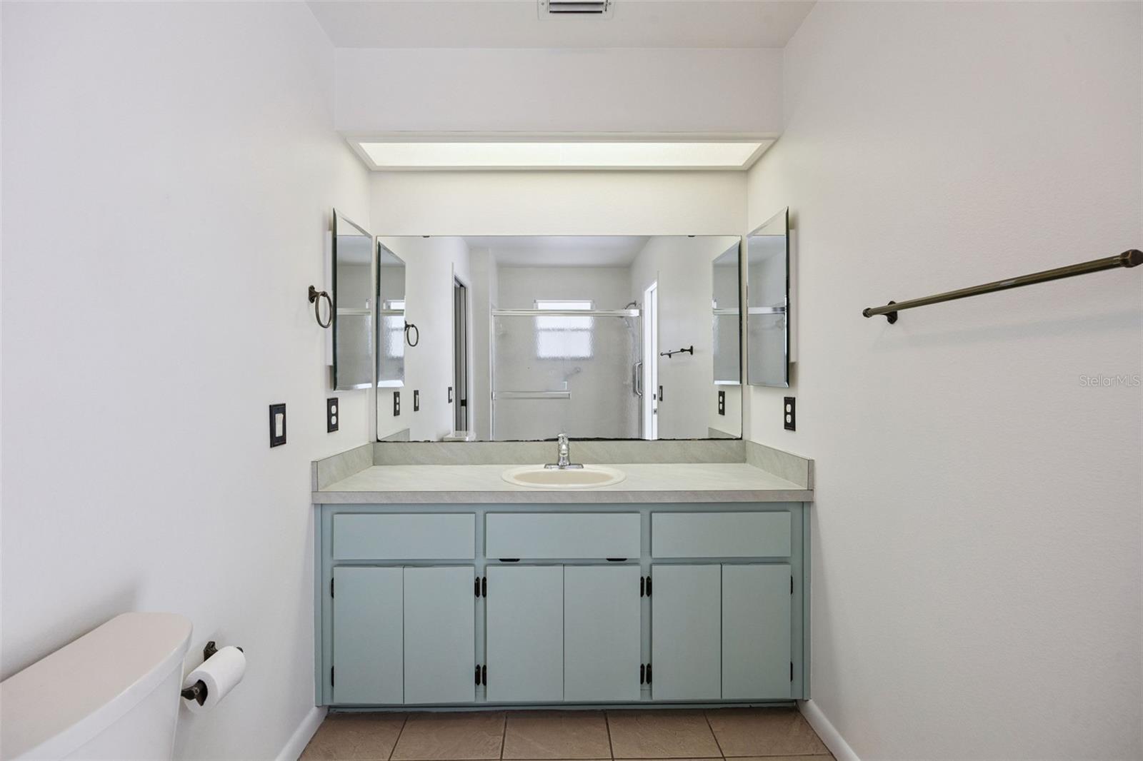 26233 NEWCOMBE CIRCLE, Leesburg, FL 34748