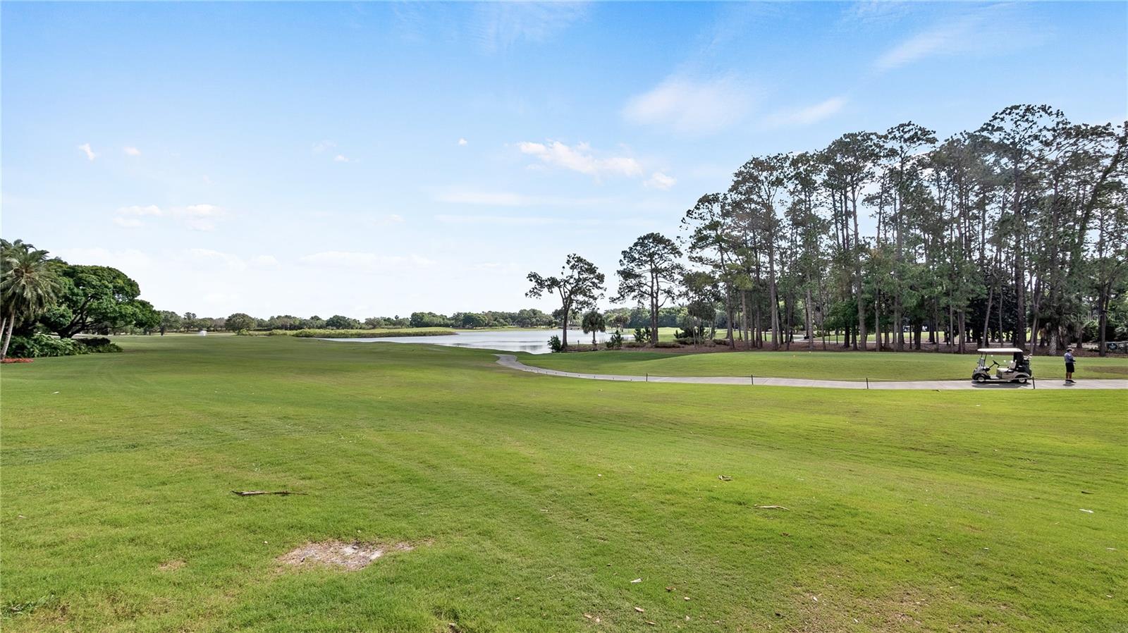 9524 SAN FERNANDO COURT, Howey In The Hills, FL 34737