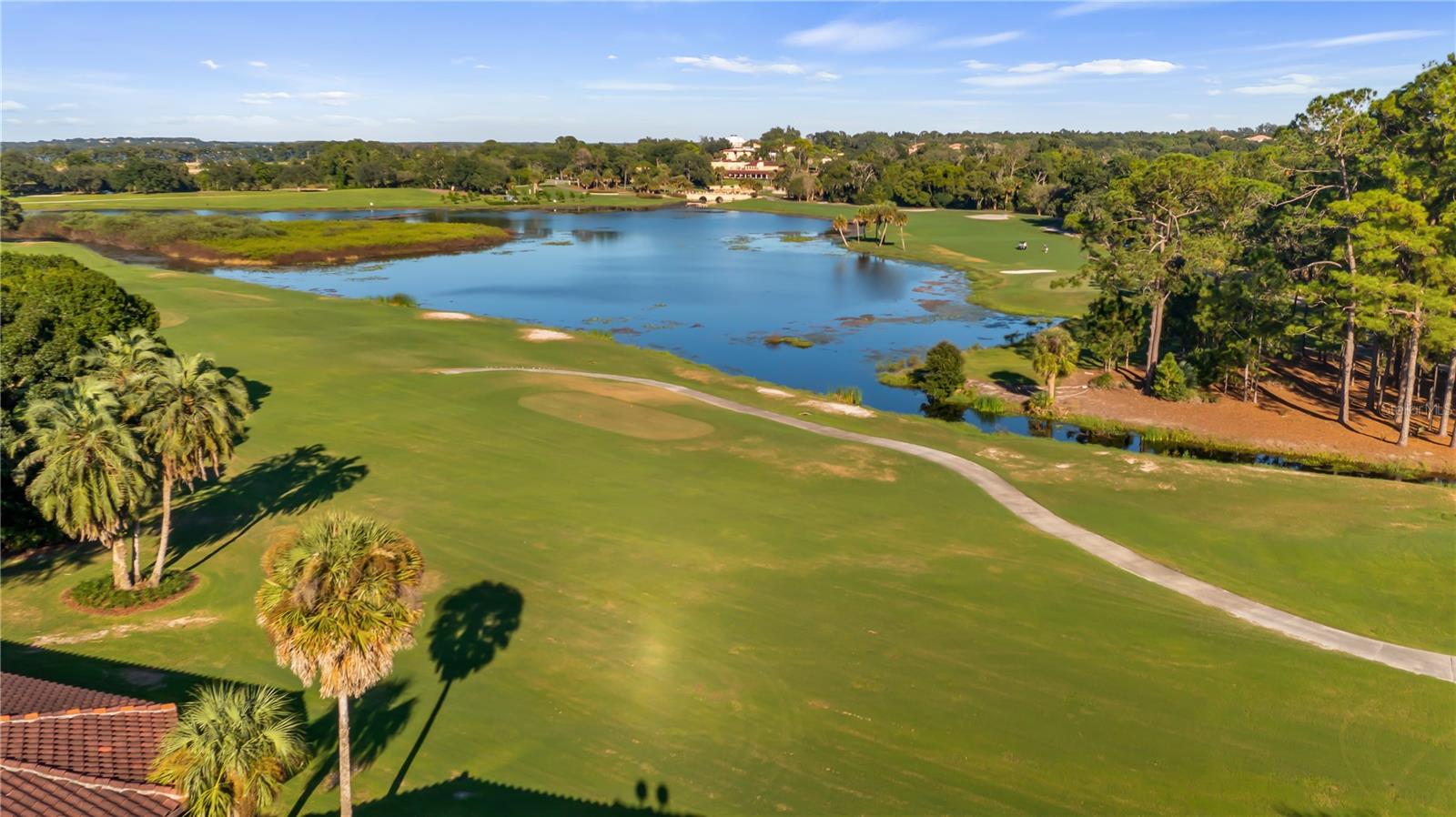 9524 SAN FERNANDO COURT, Howey In The Hills, FL 34737