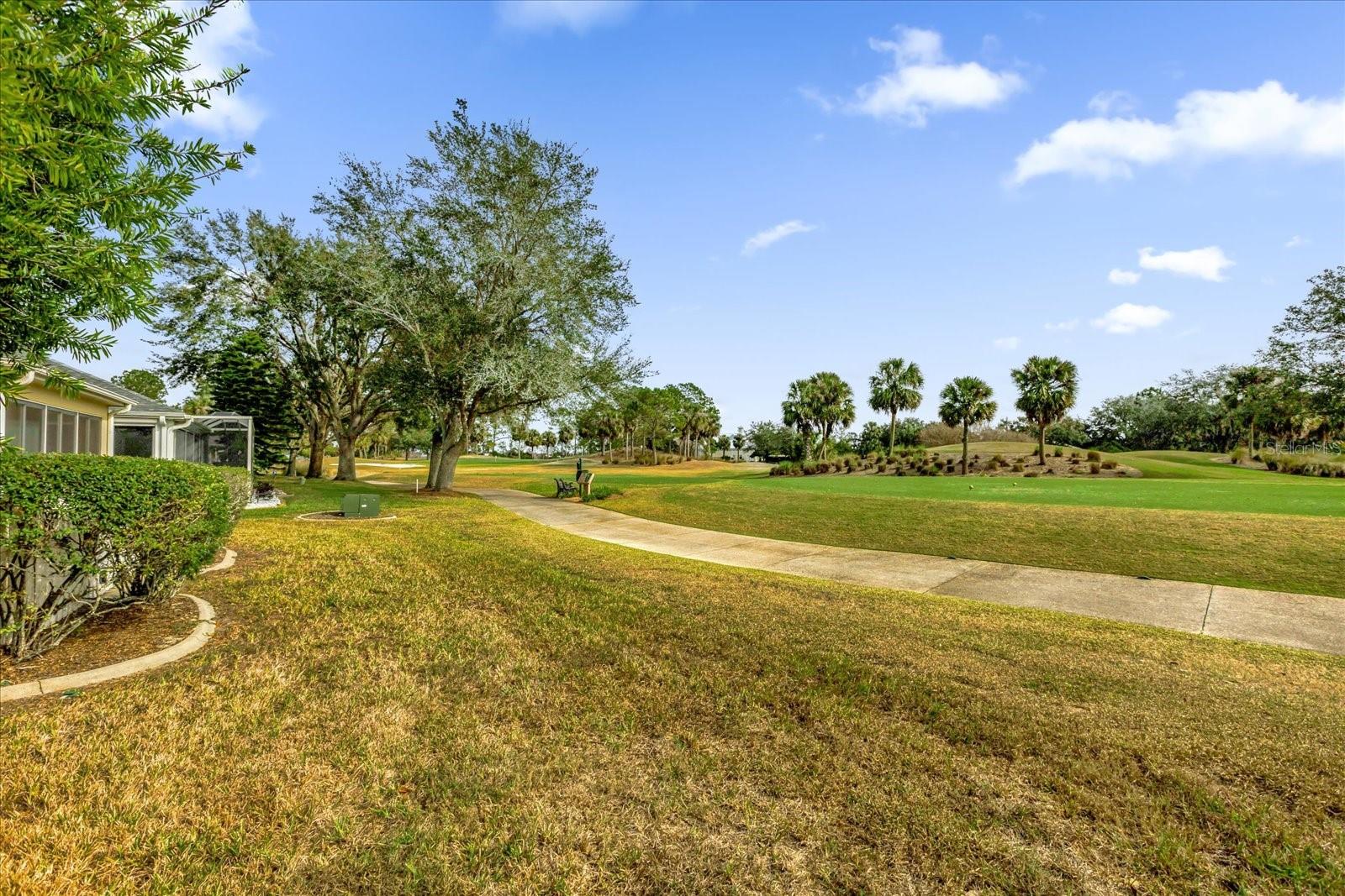 2409 TAMARINDO DRIVE, The Villages, FL 32162