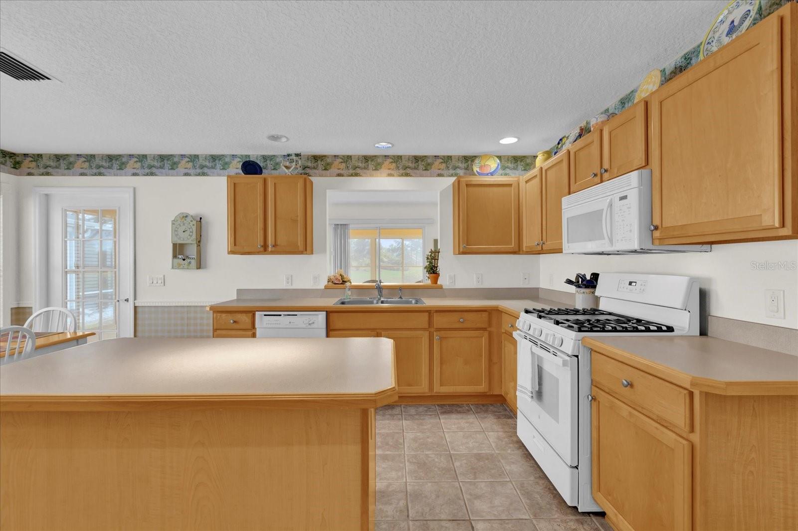 2409 TAMARINDO DRIVE, The Villages, FL 32162