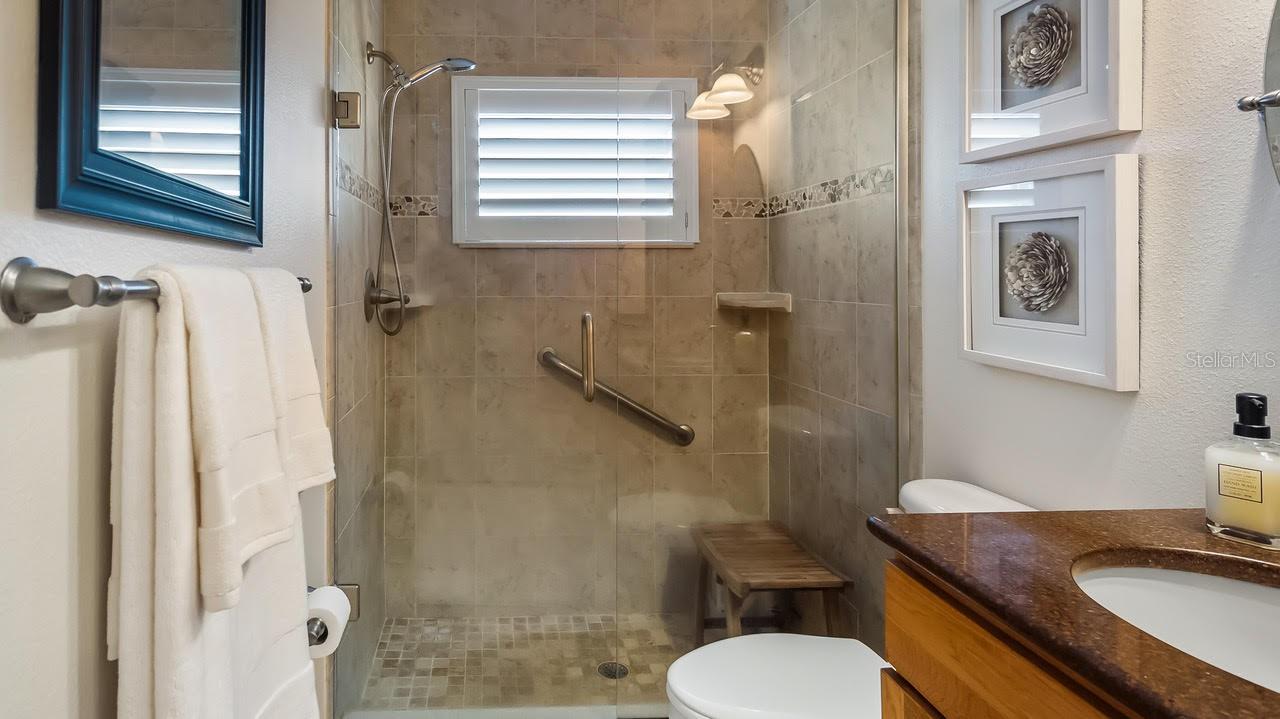 Primary Shower