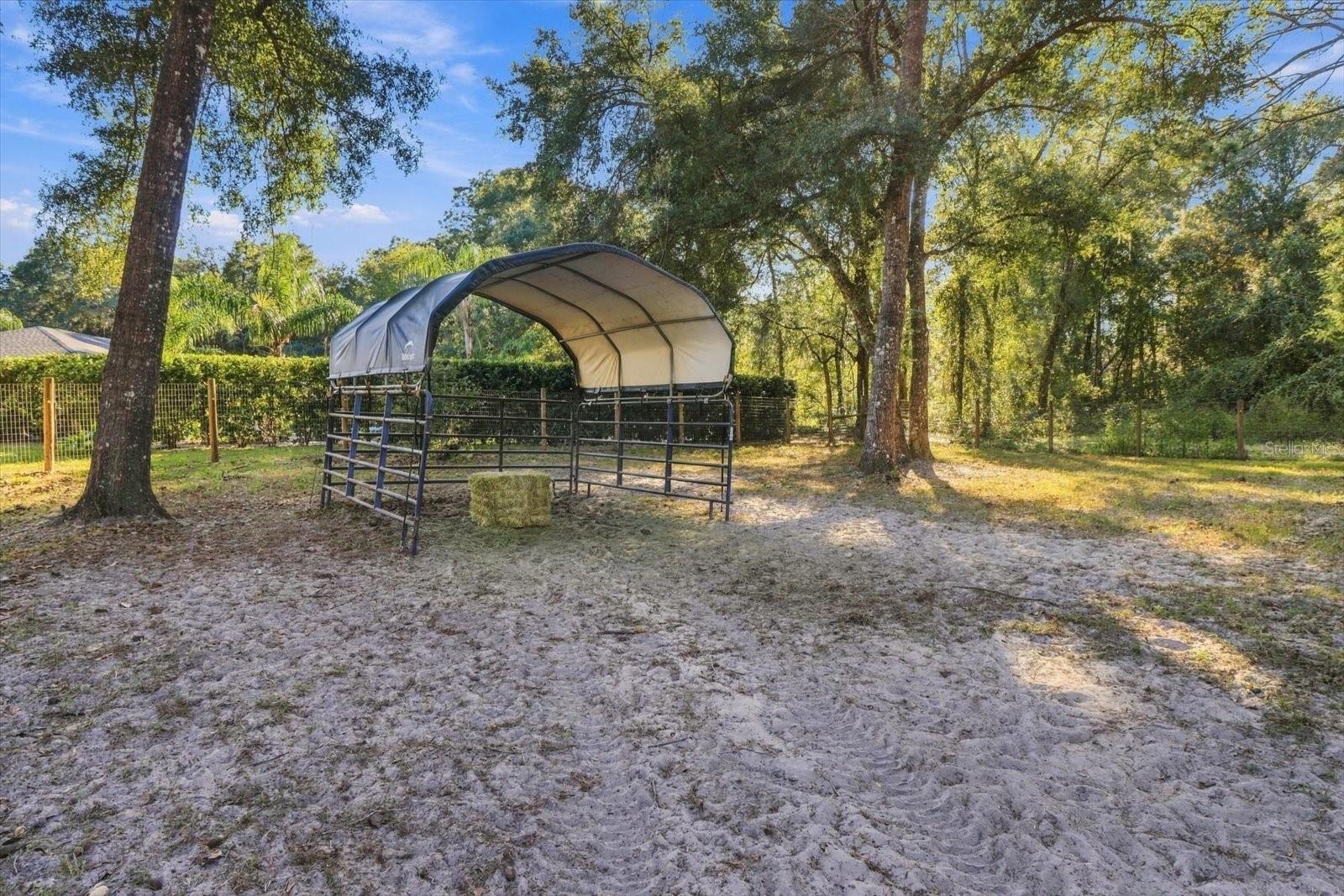 560 NW 117TH COURT, Ocala, FL 34482
