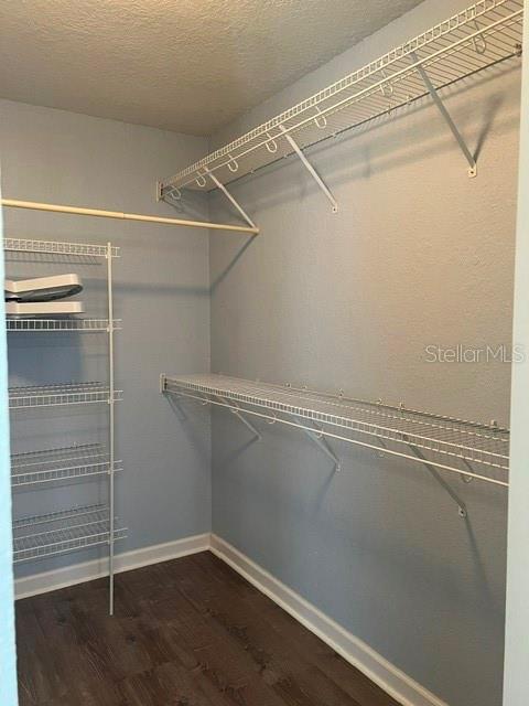Another View of Walk-in Closet