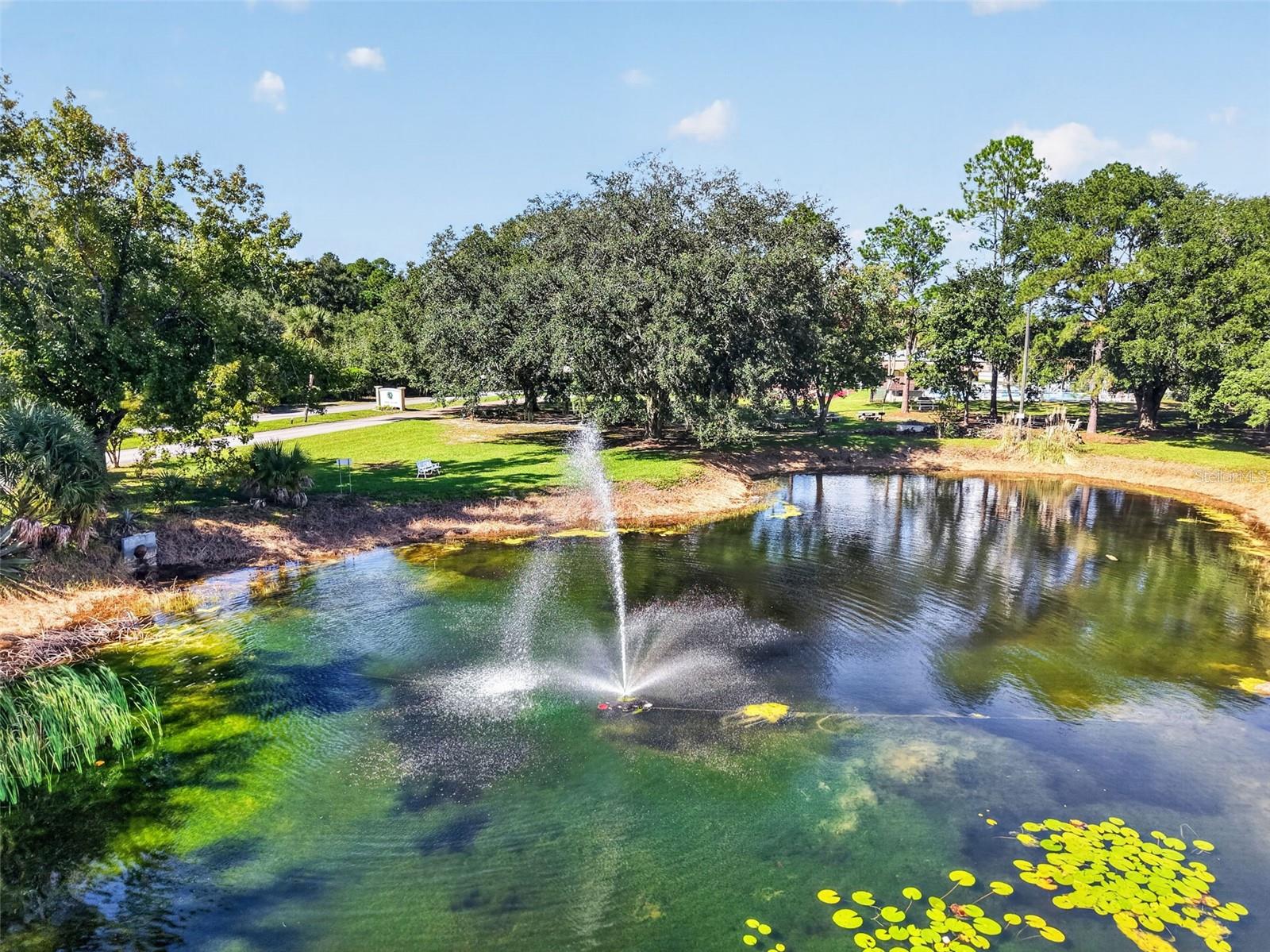 2005 STACEY DR, Mount Dora, FL 32757