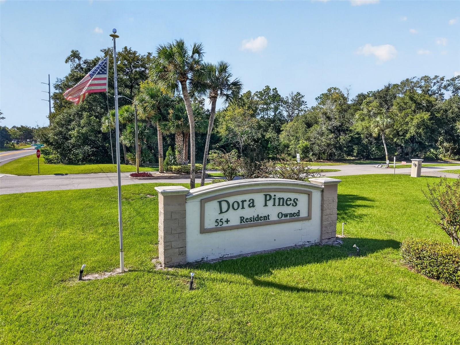 2005 STACEY DR, Mount Dora, FL 32757