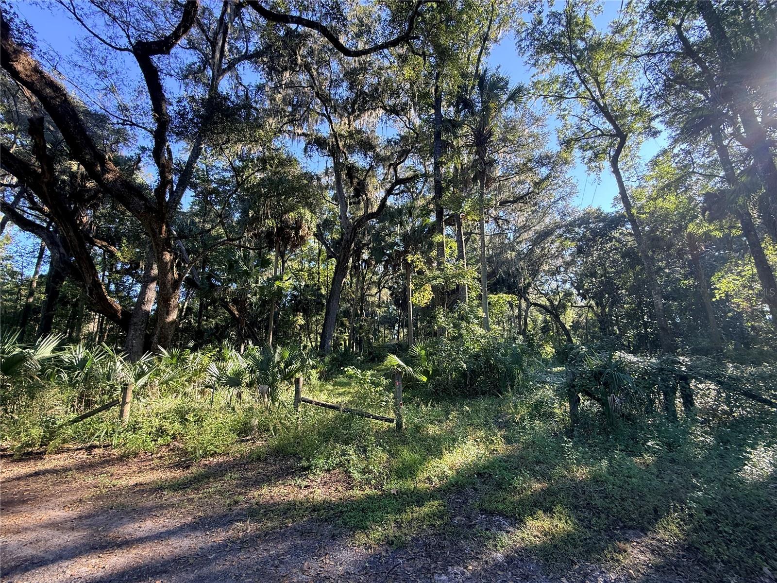 2701 NE 175TH STREET ROAD, Citra, FL 32113 2701 NE 175TH STREET ROAD, Citra, FL 32113