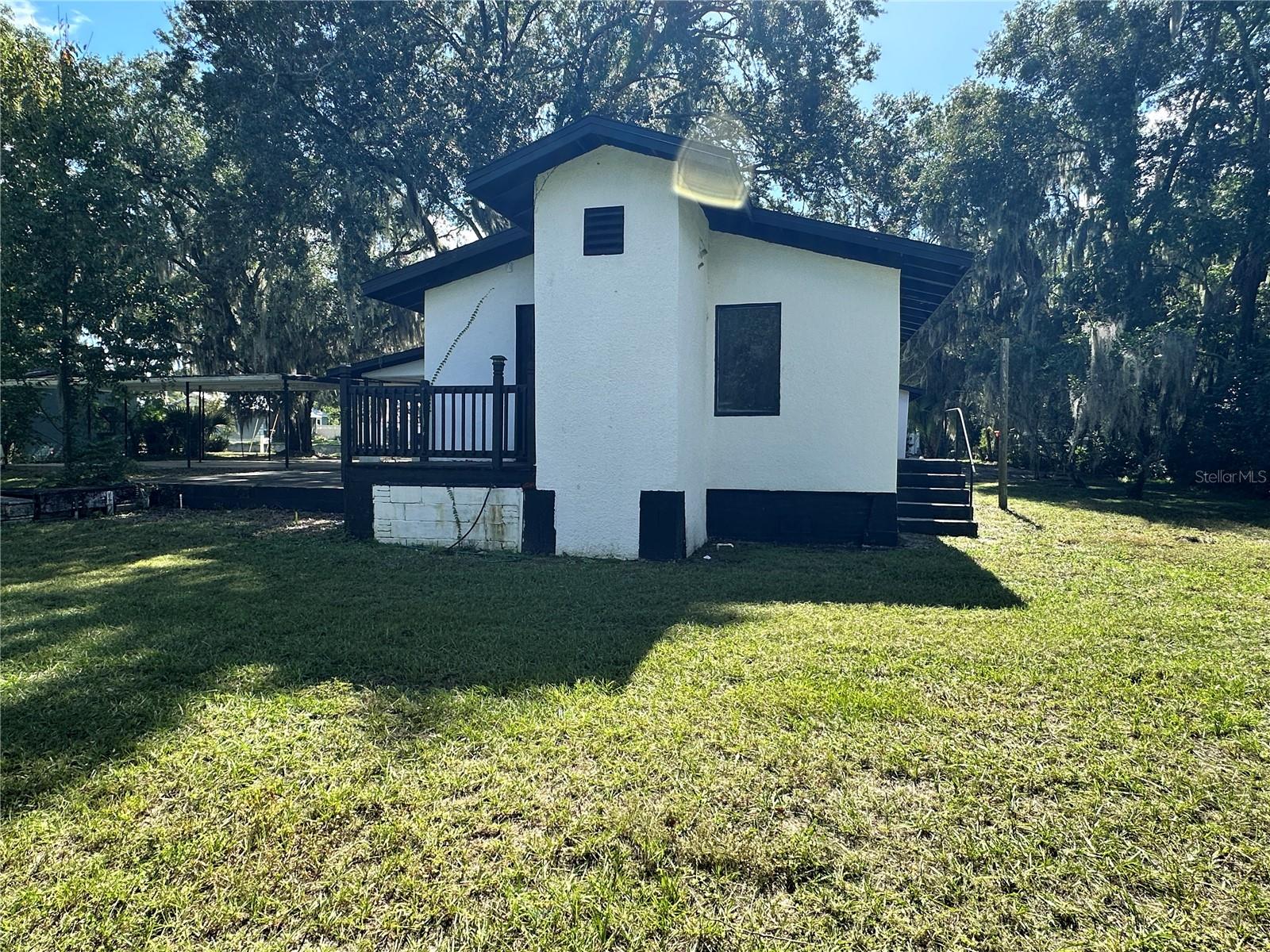 Back View
