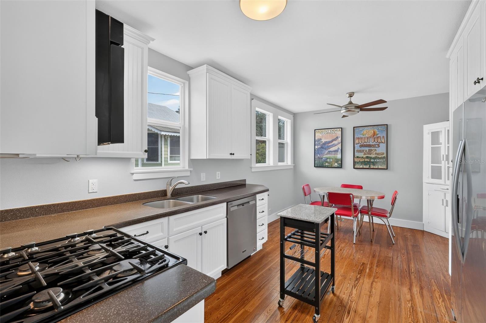 342 S CLAYTON STREET, Mount Dora, FL 32757