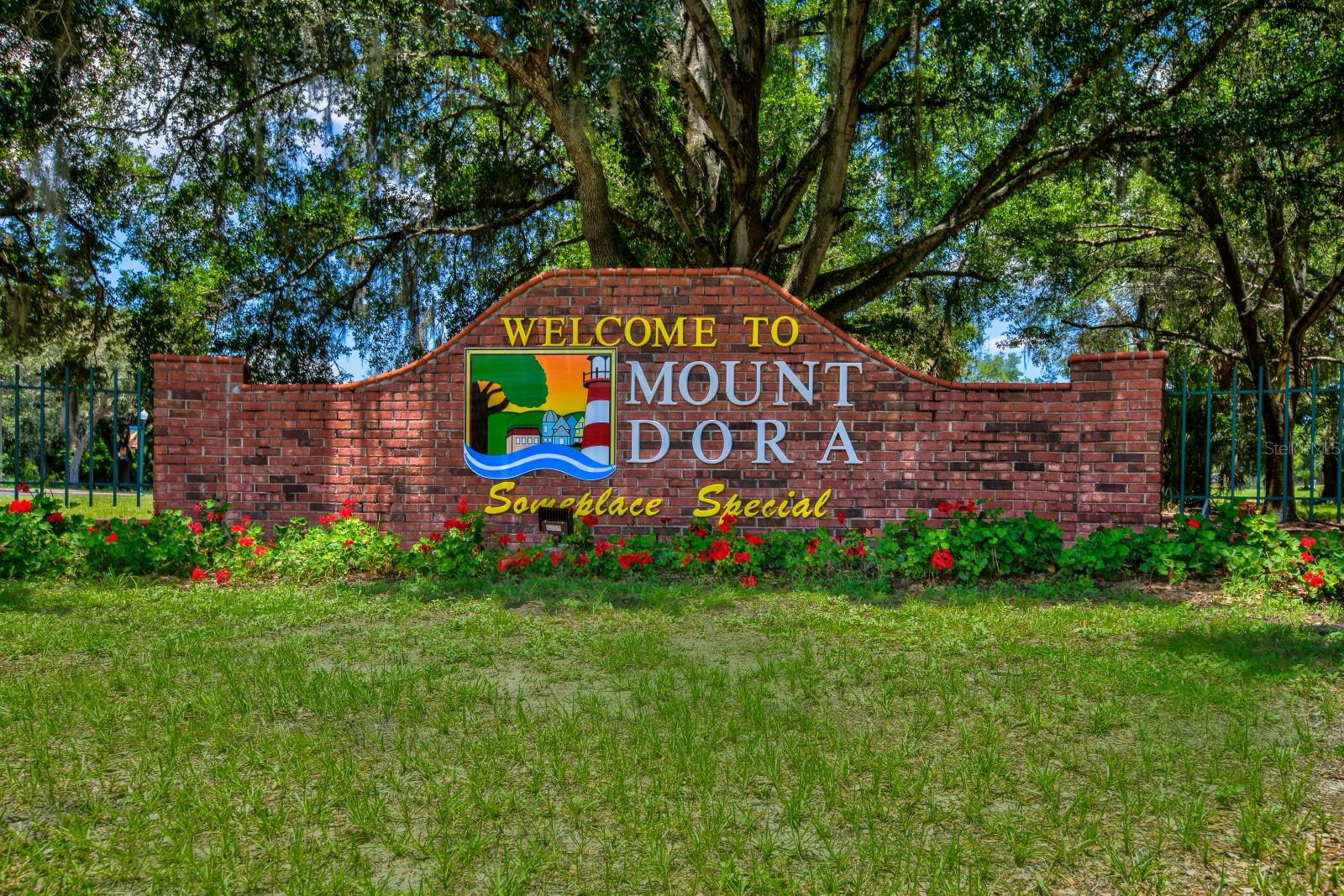 342 S CLAYTON STREET, Mount Dora, FL 32757