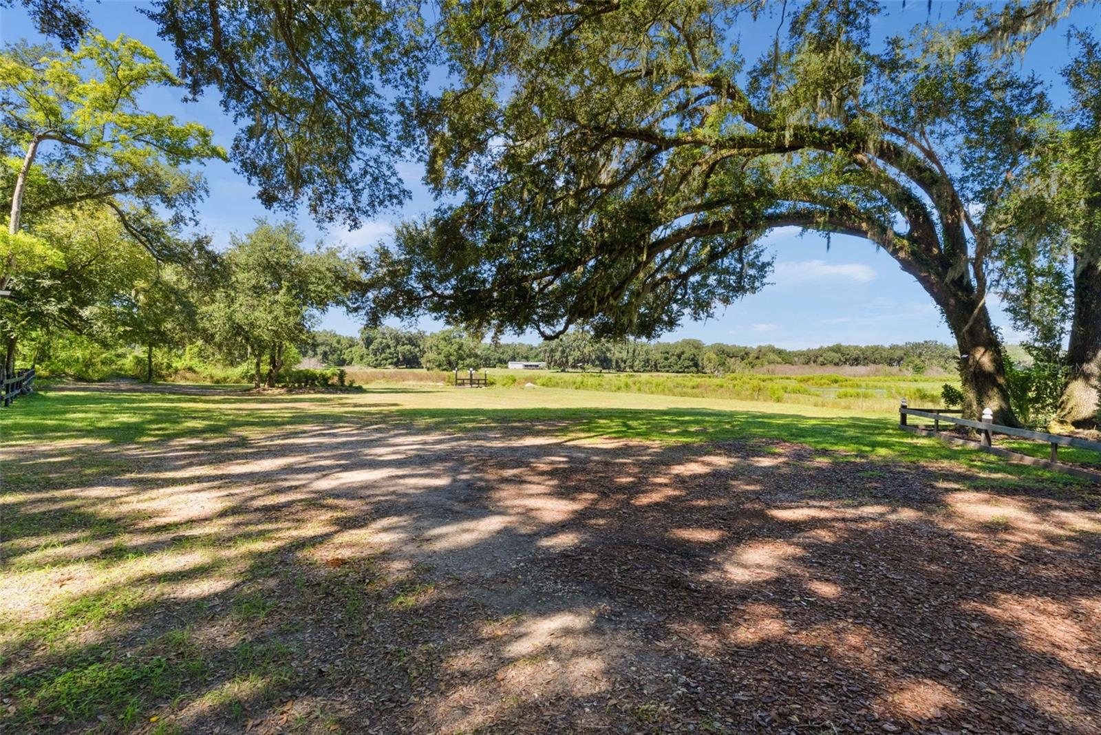 1640 CR 738, Webster, FL 33597