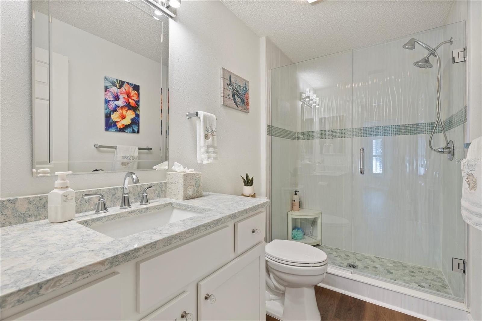 Upgraded Guest Bath and Shower