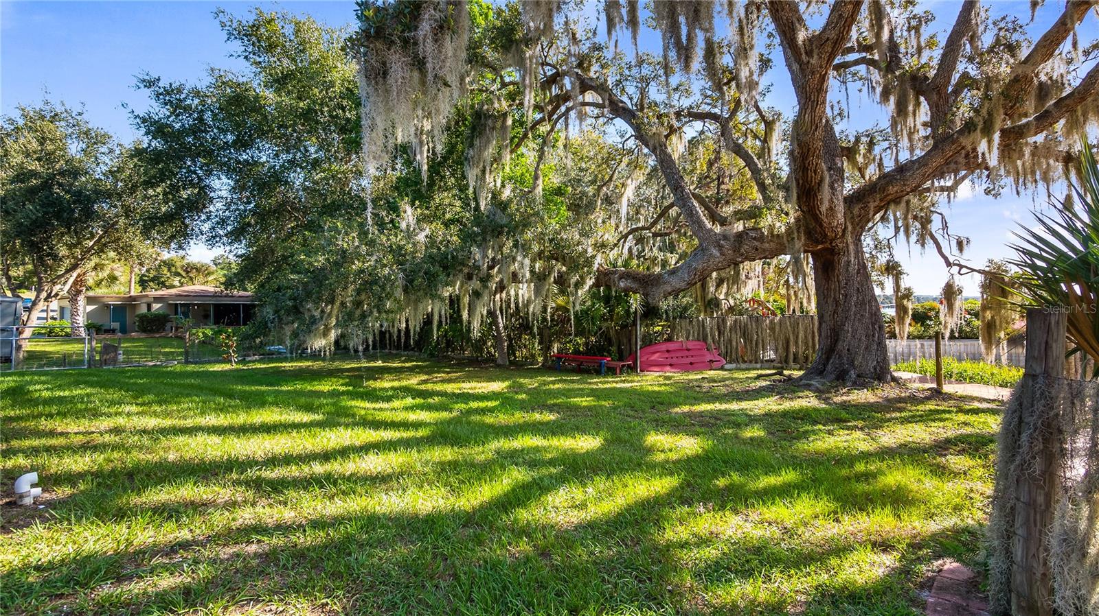 Beautiful Oak in backyard/lakefront