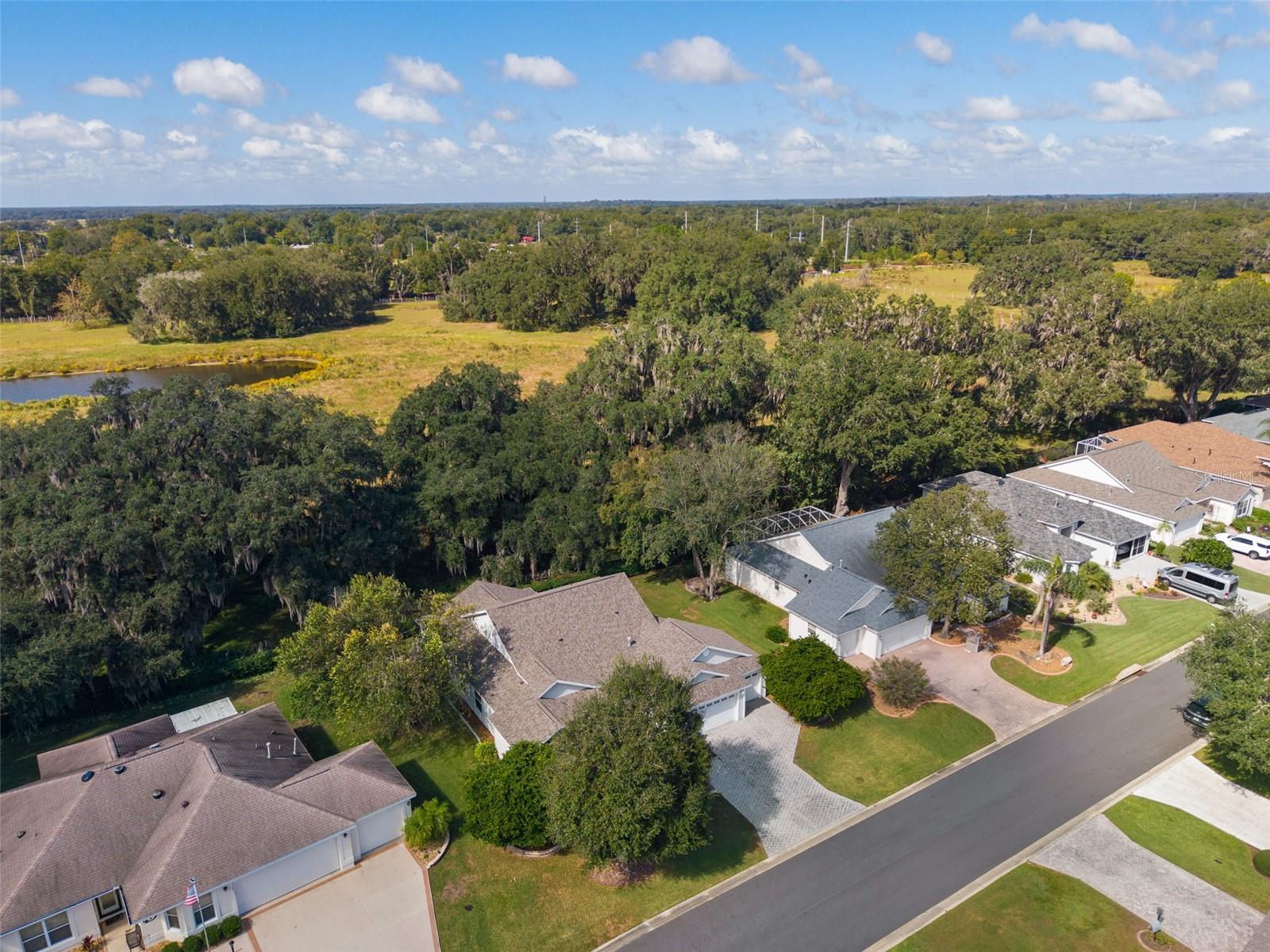7175 SE 173RD ARLINGTON LOOP, The Villages, FL 32162