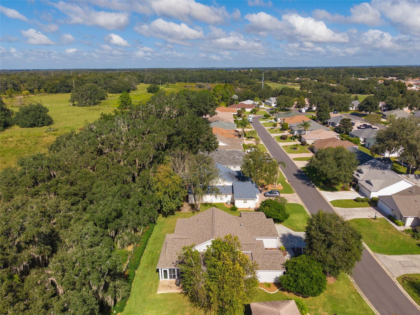 7175 SE 173RD ARLINGTON LOOP, The Villages, FL 32162