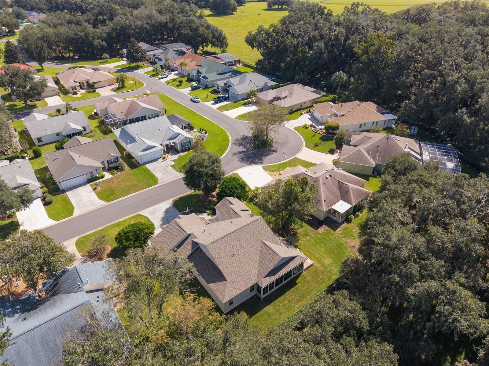 7175 SE 173RD ARLINGTON LOOP, The Villages, FL 32162