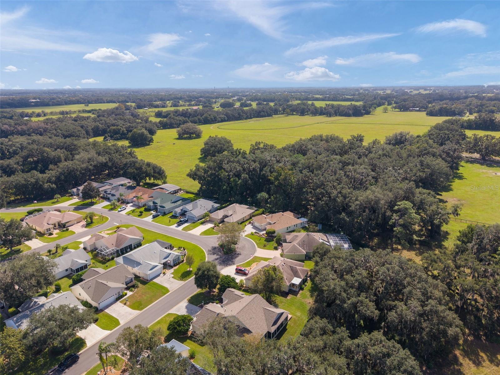 7175 SE 173RD ARLINGTON LOOP, The Villages, FL 32162