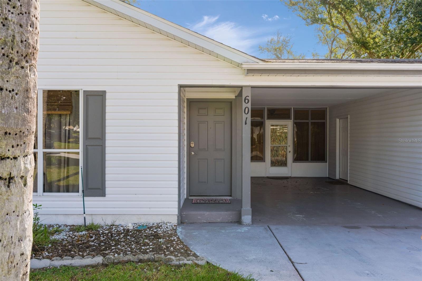 601 SANTIAGO COURT, The Villages, FL 32159