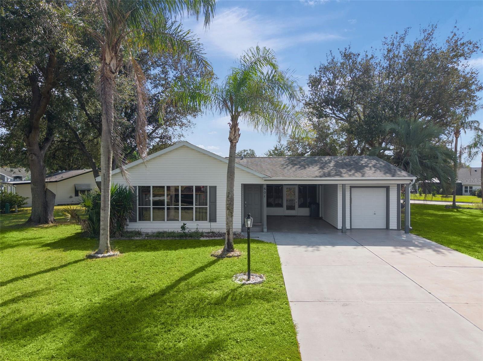 601 SANTIAGO COURT, The Villages, FL 32159