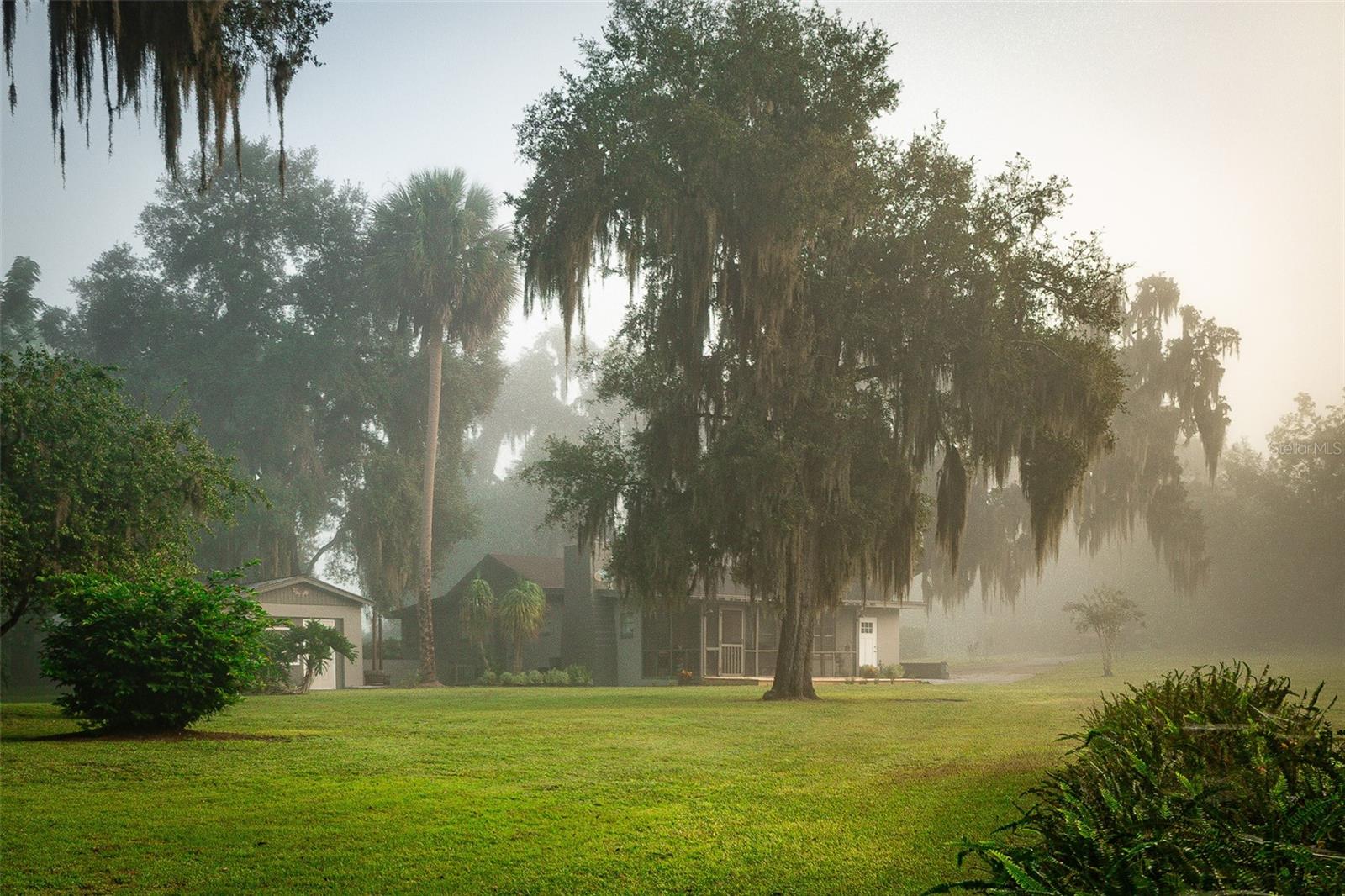 Westside of home in early morning fog.