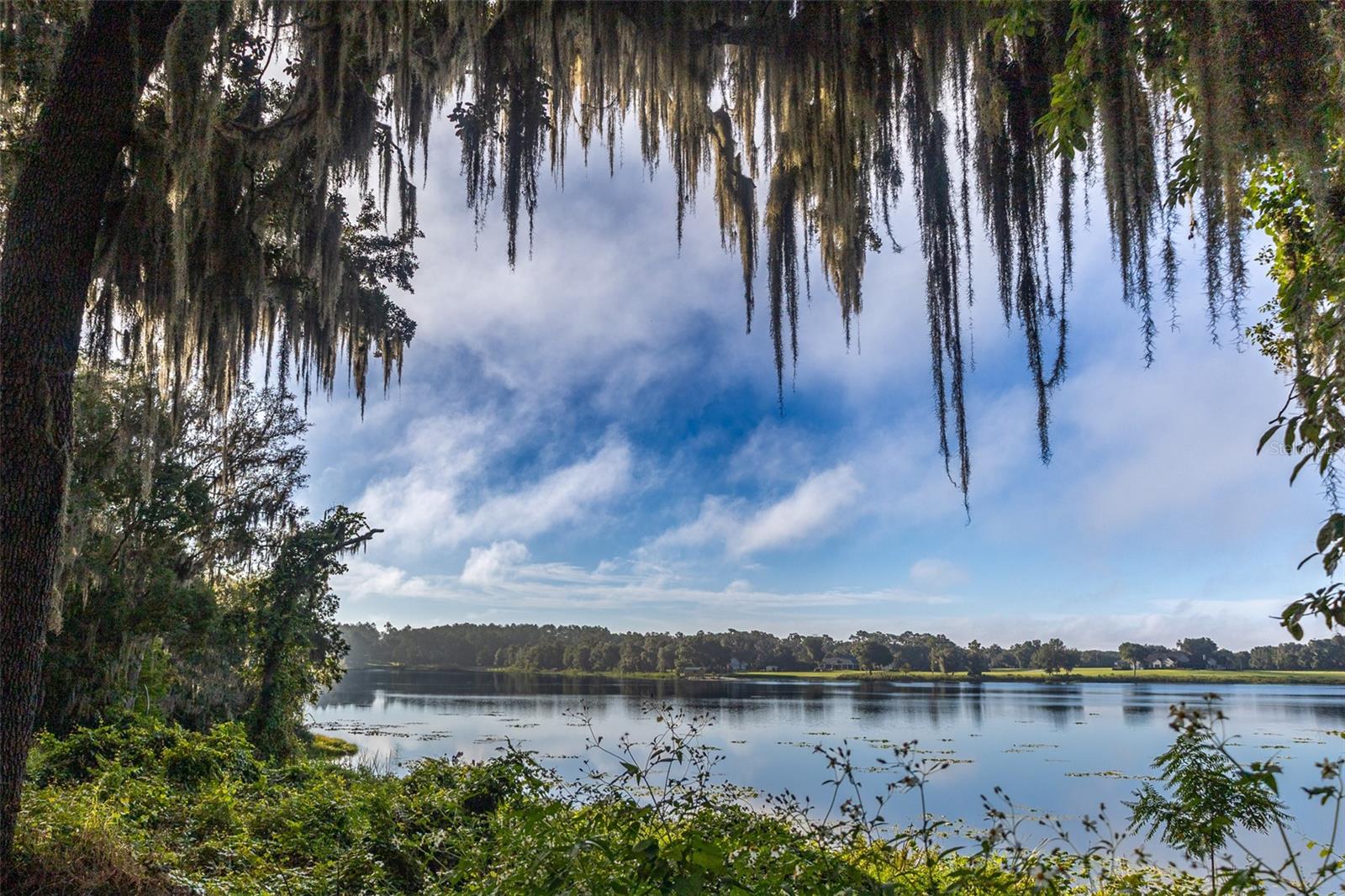 Lake view from west shore