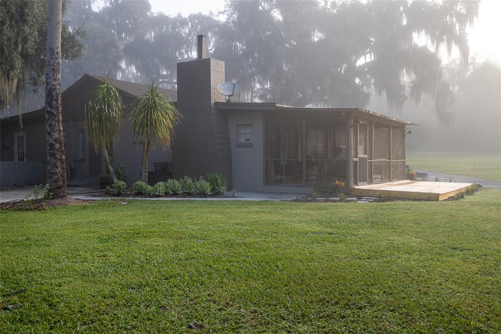 Foggy morning