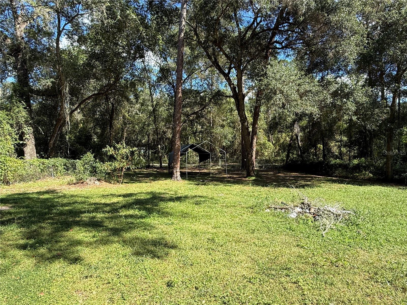 Back yard Back yard