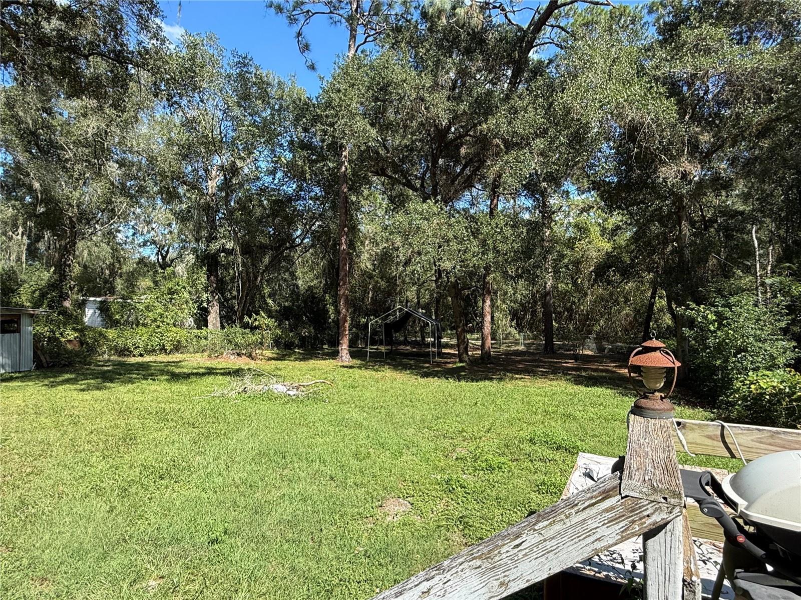 back yard back yard